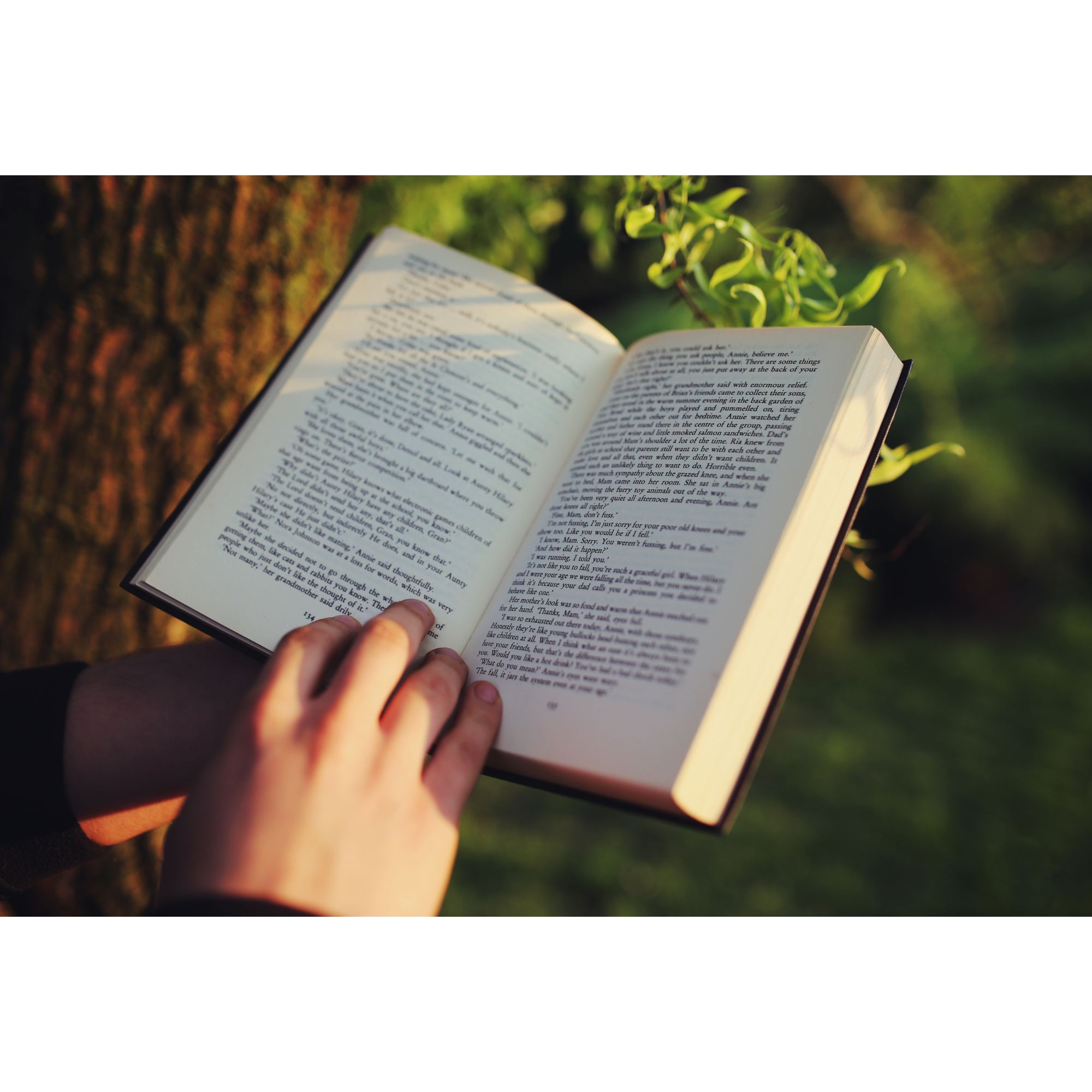 Reading